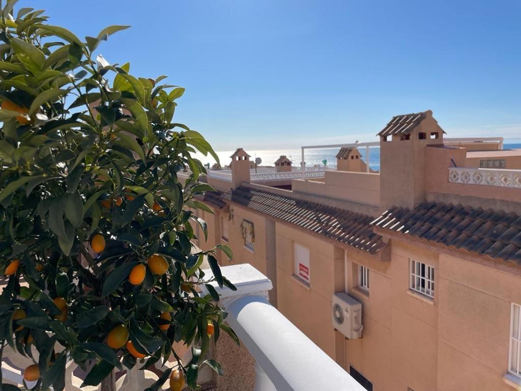 Apartament La Mata 托雷维耶哈 外观 照片