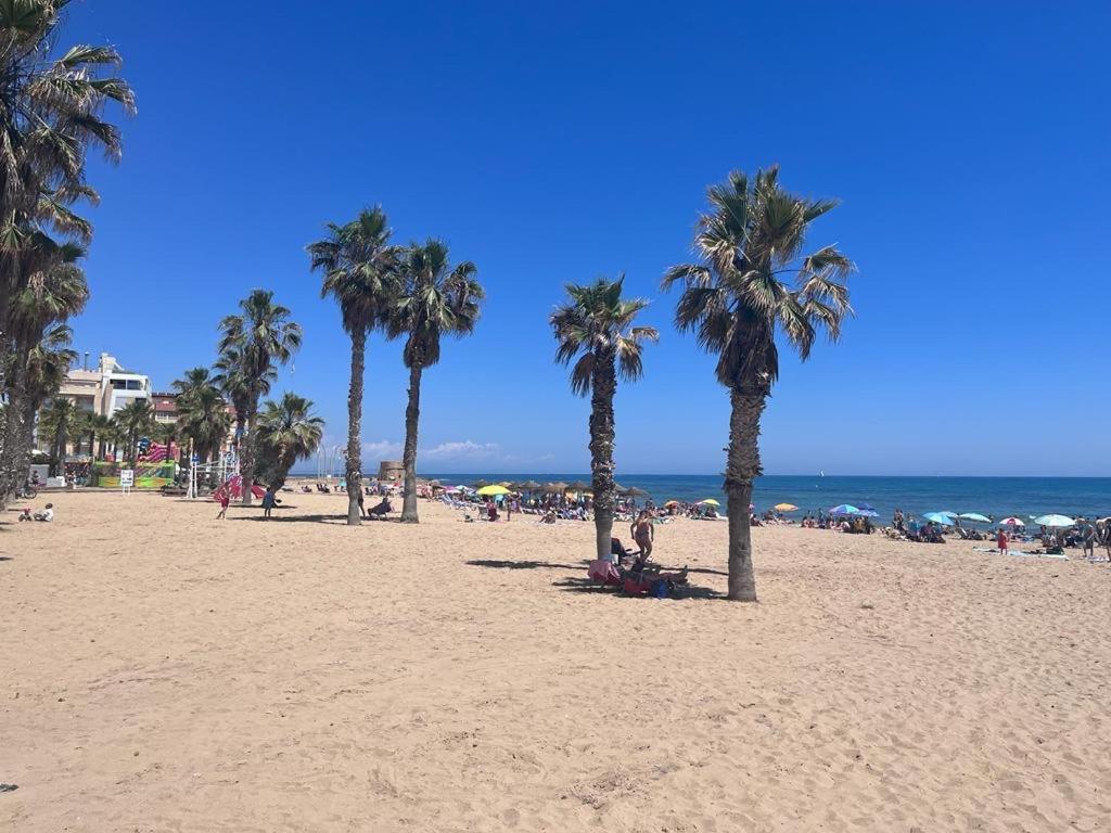 Apartament La Mata 托雷维耶哈 外观 照片