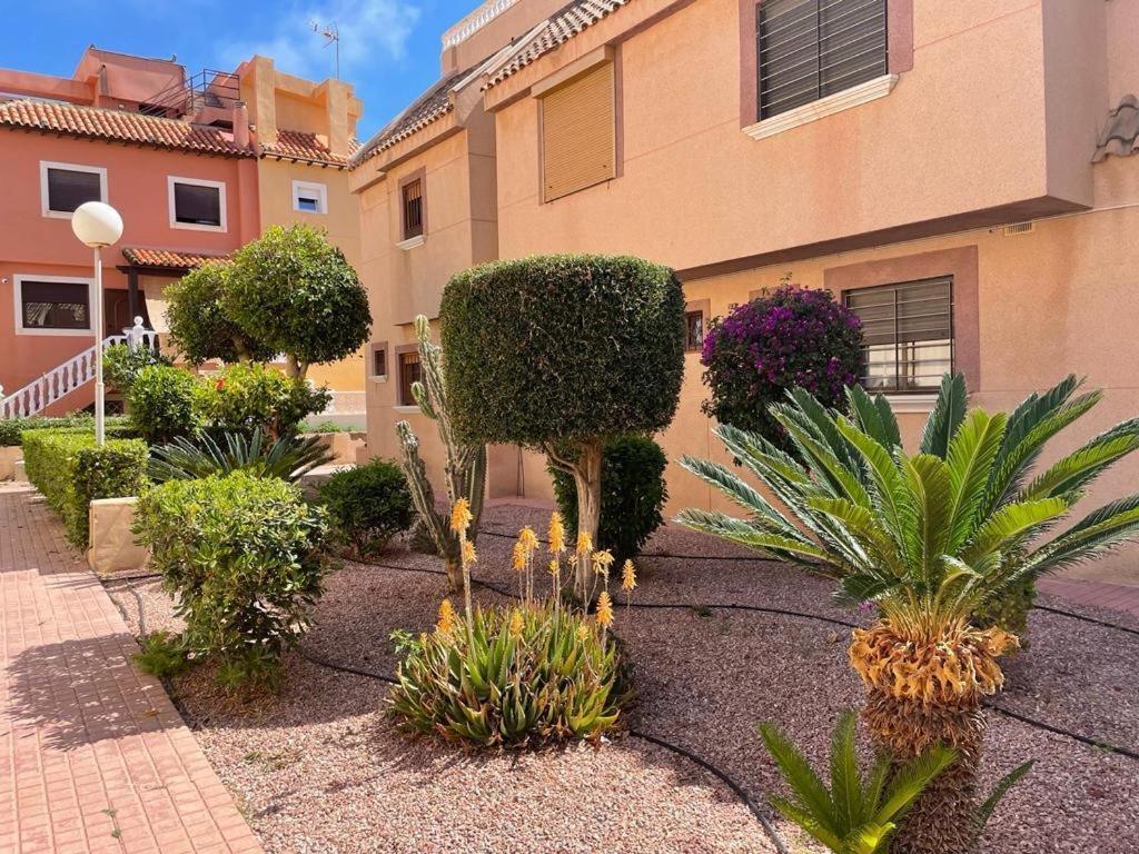Apartament La Mata 托雷维耶哈 外观 照片
