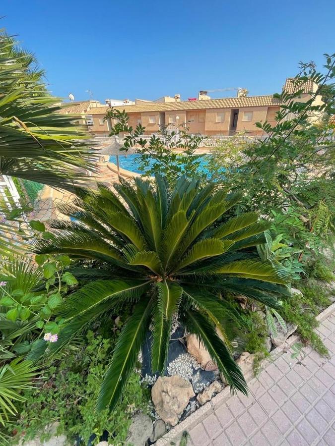 Apartament La Mata 托雷维耶哈 外观 照片